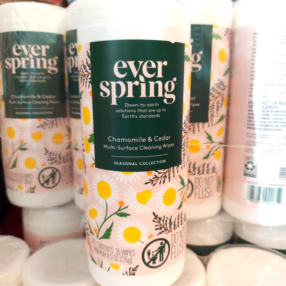 EVERSPRING surface wipes 35 count